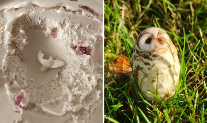 50 Times People Succumbed To Pareidolia And Saw What Wasn’t Really There (New Pics)