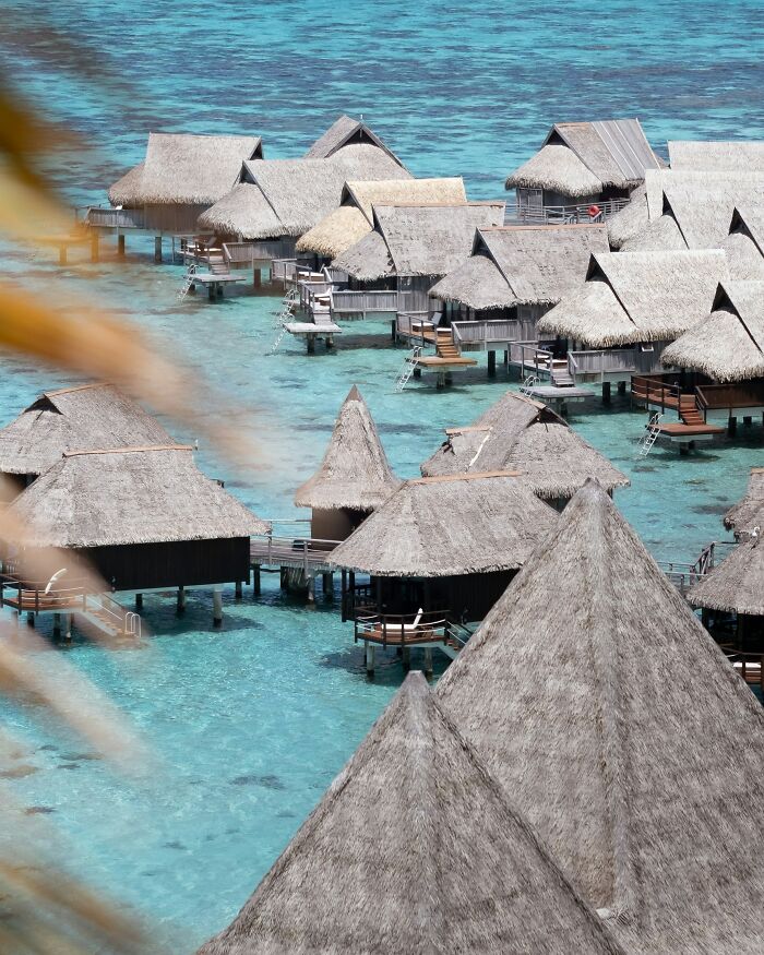 Overwater bungalows with thatched roofs, typical in some countries, stand over clear blue waters.