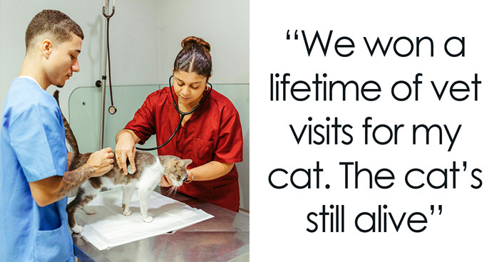 “Exact Number Of 6894 Beans”: 30 Stories Of Lifetime Supply Winnings, From Wholesome To Sad