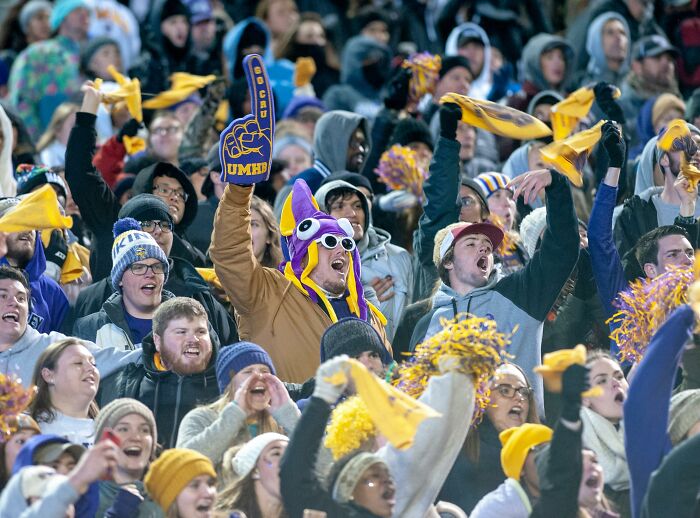 Enthusiastic crowd at a sports event, waving banners and cheering in high energy.
