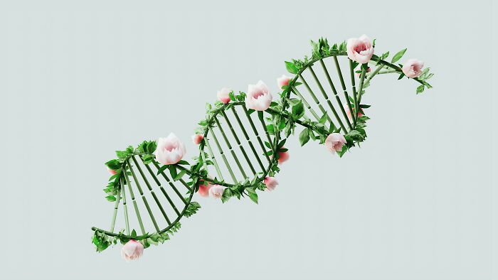 A DNA strand made of flowers and leaves, symbolizing controversial conspiracy theories in genetics.