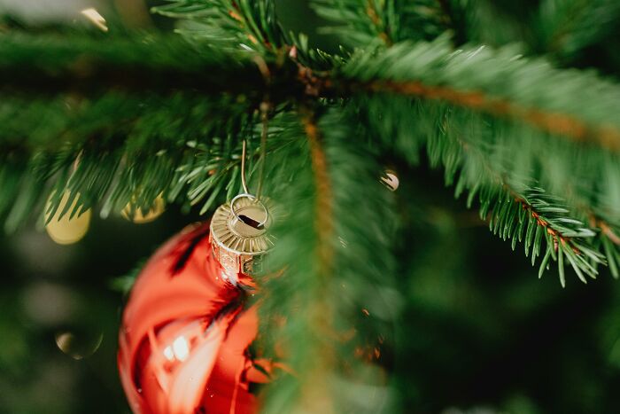 Red Christmas ornament hanging on a green tree branch, capturing the festive spirit.