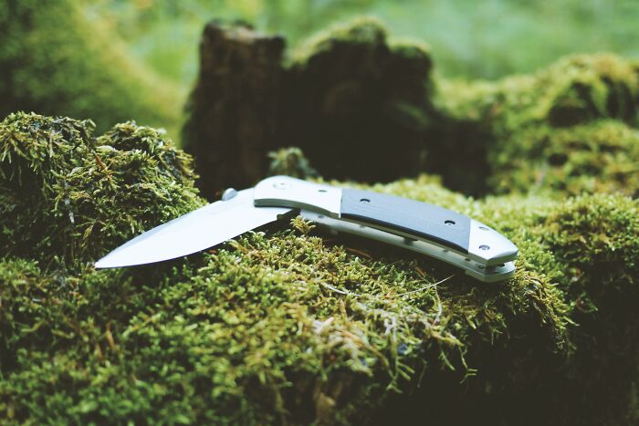 Folding knife on mossy forest ground, evoking weird unsolved mysteries.