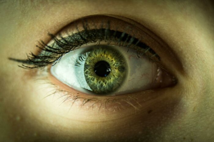 Close-up of a human eye, showcasing detail and colors, related to history trivia concepts.