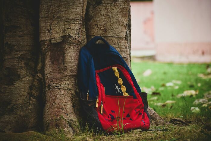 Red and blue backpack leaning against a tree, symbolizing school memories and unique student stories.