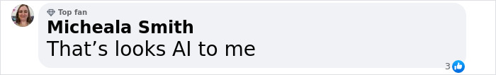 Comment by "Michaela Smith" stating, "That&rsquo;s looks AI to me," with a blue thumbs-up icon.