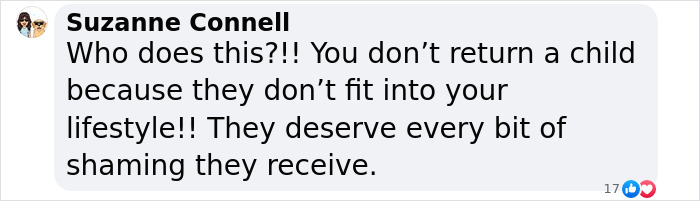 Screenshot of a critical comment about Myka and James Stauffer's decision to rehome their adopted son.