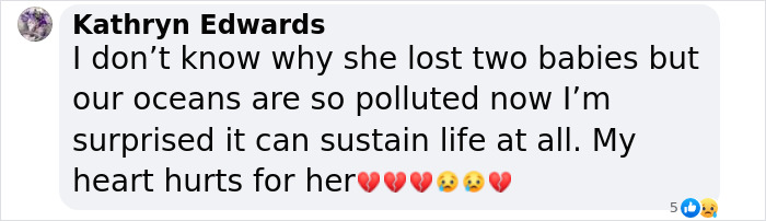 Another &ldquo;Devastating&rdquo; Loss For Orca Mom Who Carried Lifeless Calf For 17 Days And 1,000 Miles