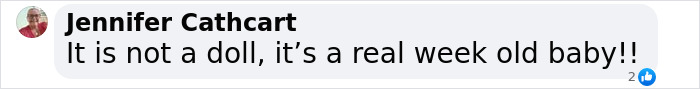 Comment stating, "It is not a doll, it&rsquo;s a real week old baby!!" by Jennifer Cathcart in an online conversation.