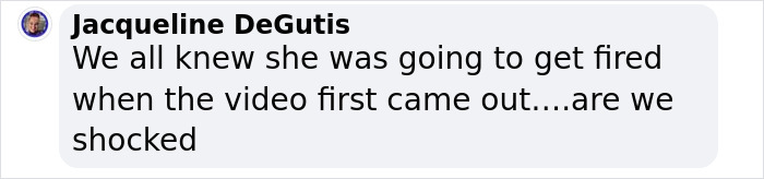 Comment discussing flight attendant's firing over a twerking video, expressing lack of surprise. Comment discussing flight attendant's firing over a twerking video, expressing lack of surprise.