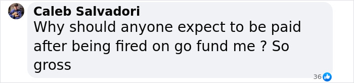 Comment about fundraising after a flight attendant's firing. Comment about fundraising after a flight attendant's firing.