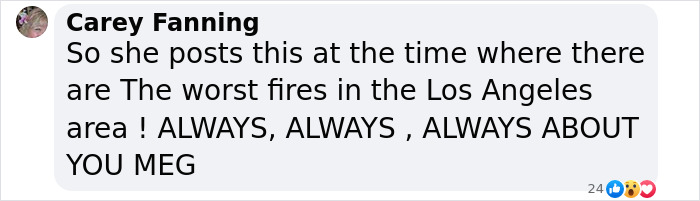 Comment criticizing celebrities for stealing spotlight during LA wildfires. Comment criticizing celebrities for stealing spotlight during LA wildfires.
