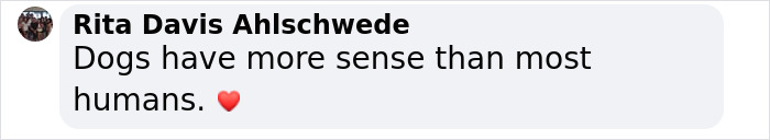 "Screenshot of comment expressing admiration for dogs' intelligence with a heart emoji.
