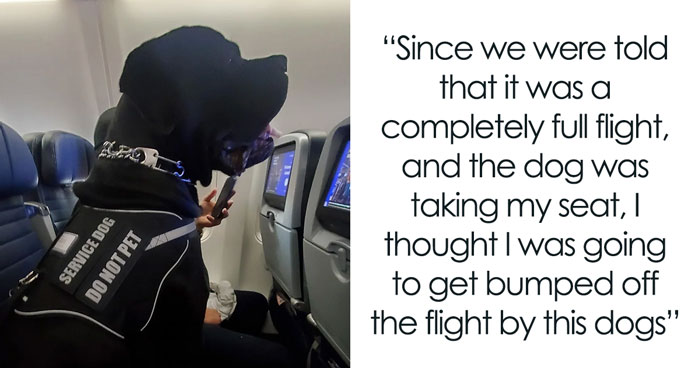 Passenger’s Seat Stolen By A Giant Service Dog, Flight Attendants Shrug When Asked To Move It