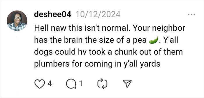 Comment discussing neighbors and plumbers in private yards, mentioning dogs and a critical remark about intelligence.