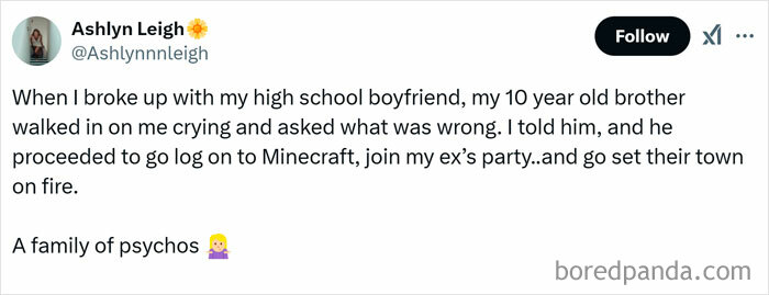 Random meme about a brother's reaction to a breakup, featuring a humorous Minecraft story.