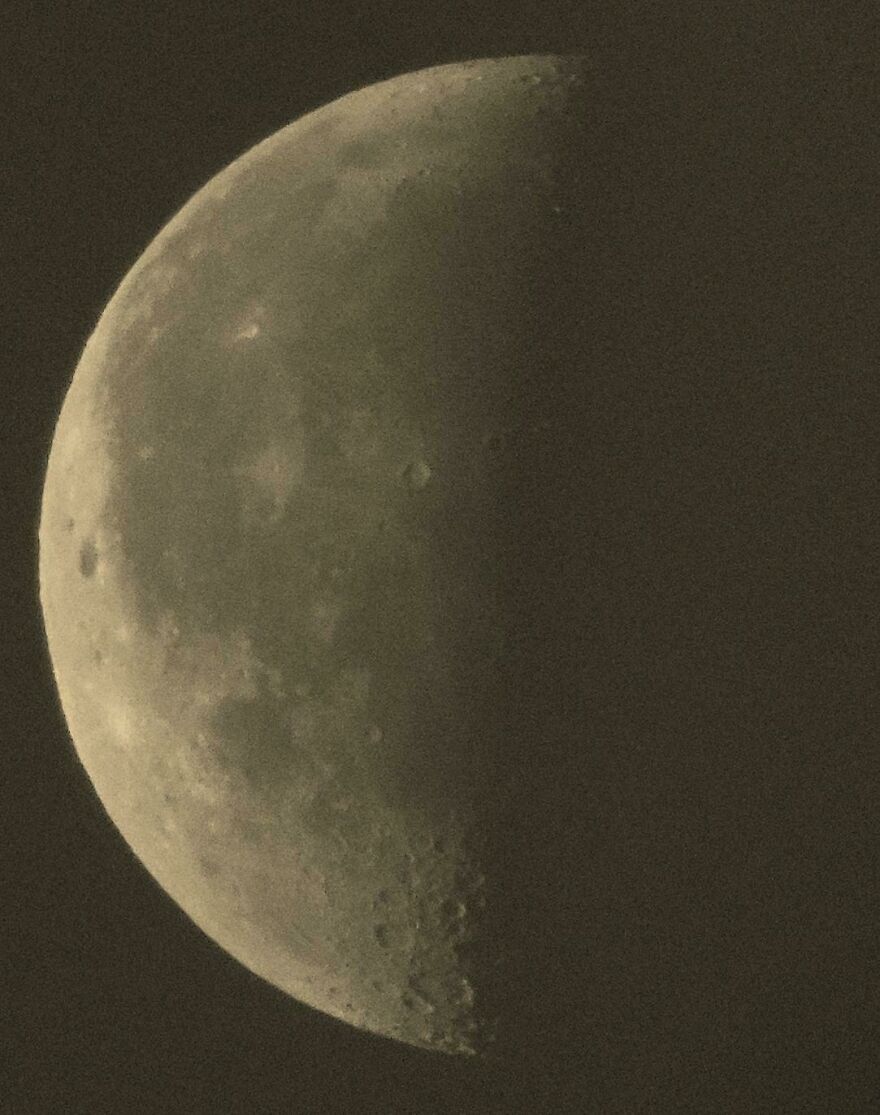 Here Are 19 Random Photos From My Camera Roll