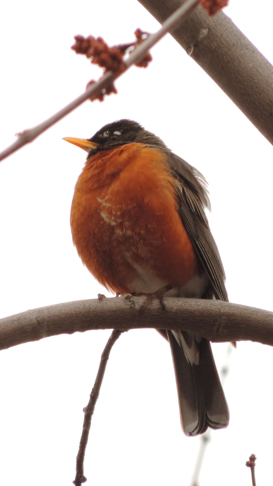 Here Are 19 Random Photos From My Camera Roll