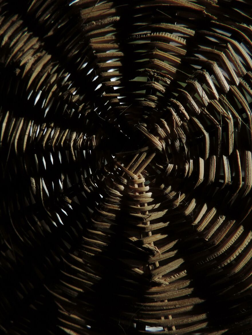 Here Are 19 Random Photos From My Camera Roll