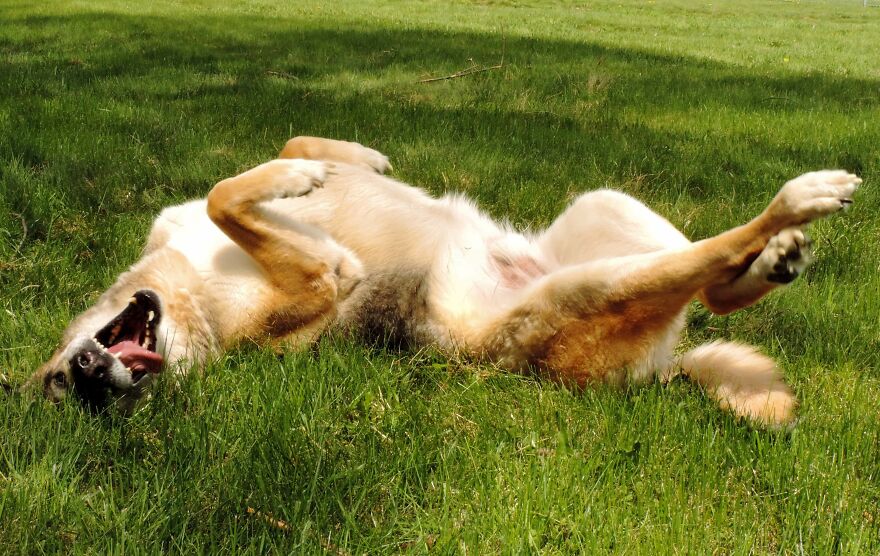 Here Are 19 Random Photos From My Camera Roll