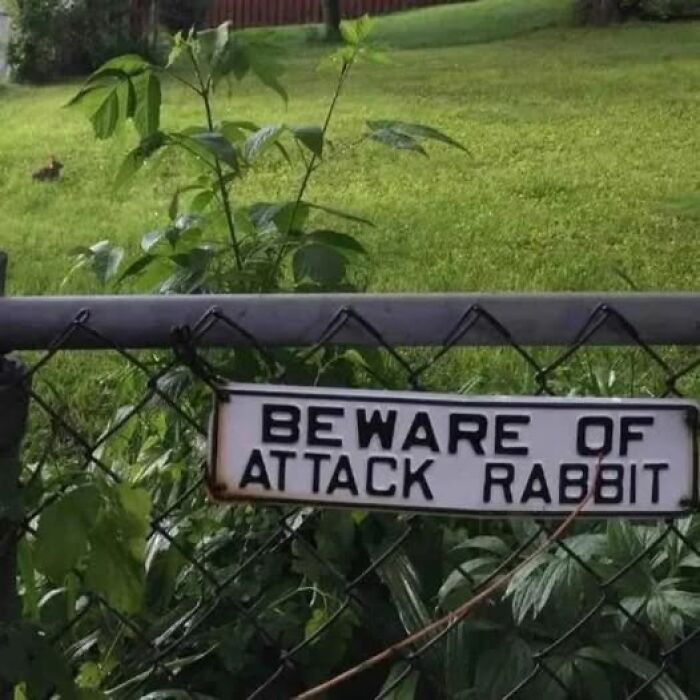 Science meme: A humorous sign on a fence reads "Beware of Attack Rabbit" with a grassy yard in the background.