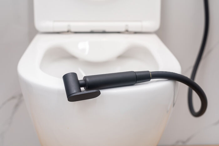 Bidet hose attached to a toilet, a space-saving purchase favored by netizens.