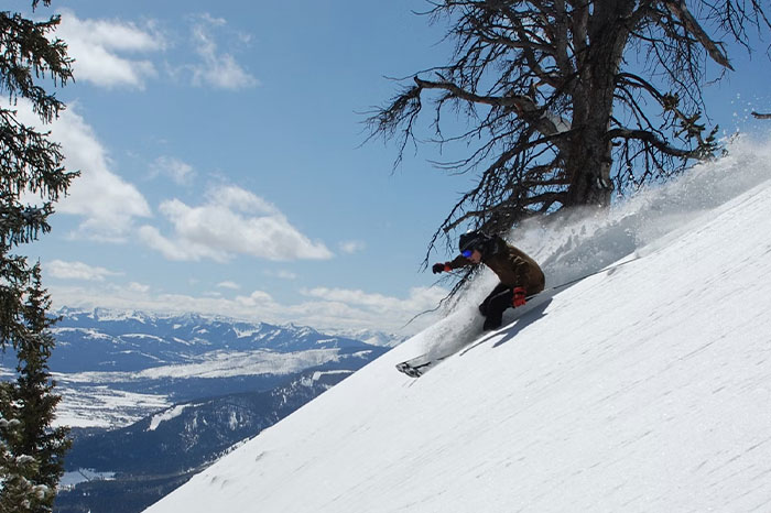 Skier making a sharp turn on a snowy mountain slope near trees, capturing a timestamped moment of action.