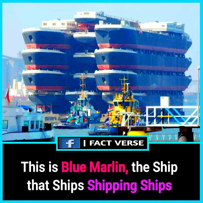 Blue Marlin carrying multiple ships in a port, showcasing random fascinating facts about its unique capacity.