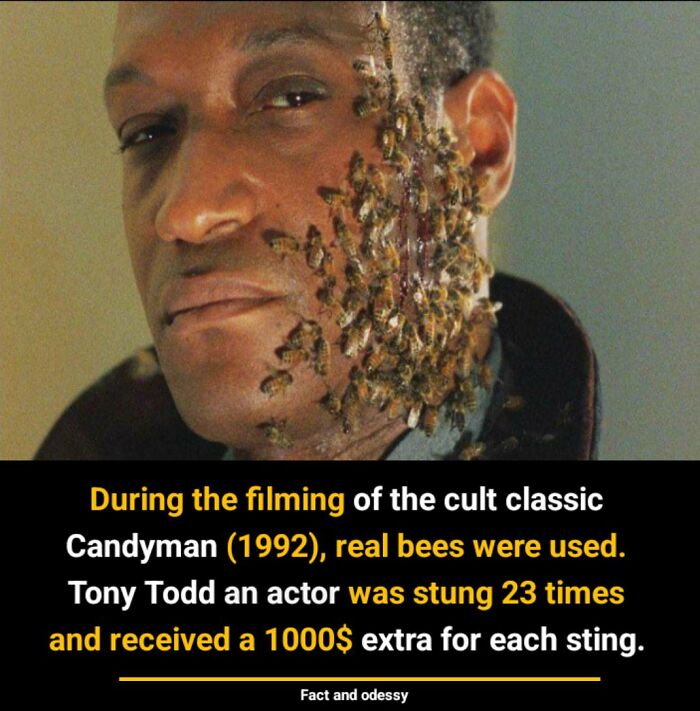 Actor with bees on face, showcasing fascinating facts about the filming of Candyman with real bees.