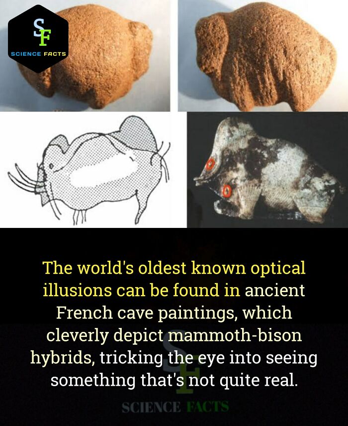 Ancient French cave paintings show mammoth-bison hybrids, an example of fascinating optical illusions.
