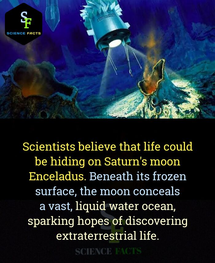 Exploration probe near Enceladus, highlighting random fascinating facts about potential extraterrestrial life.