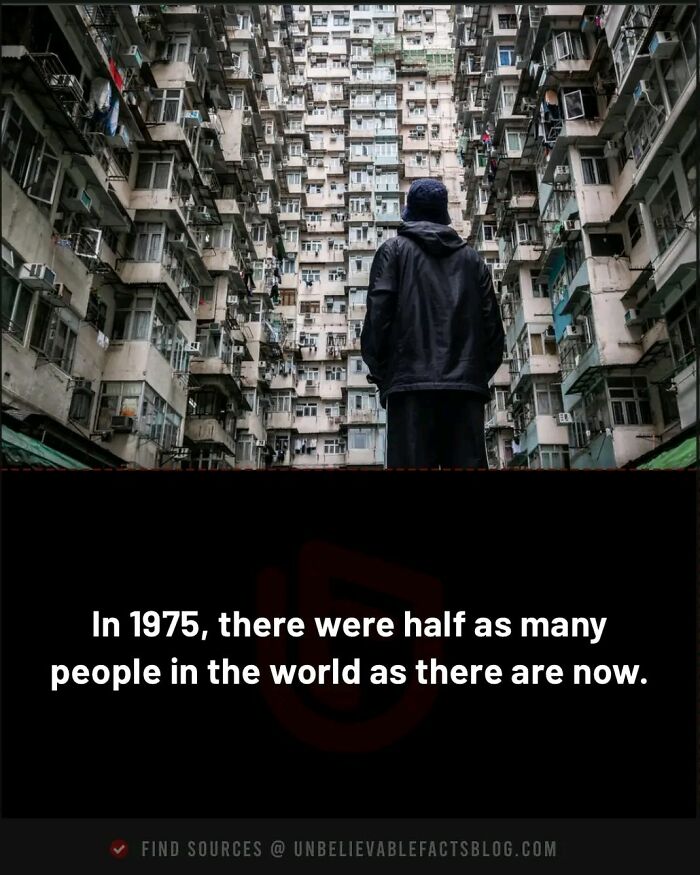 A person stands in an urban environment, surrounded by high-rise buildings, illustrating a fascinating fact.