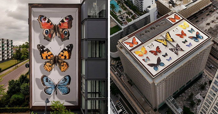Specimen Boxes: 33 Giant Butterfly Murals Painted By This French Artist Across The World (New Pics)