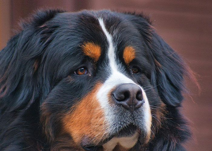 “As Gay As It Is In The Media”: 30 Surprising Things About Prison, As Shared By Ex-Inmates