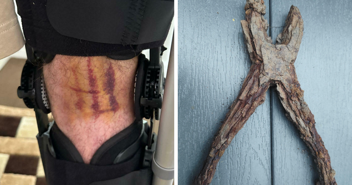 48 Interesting Things That Made People Do A Double Take To Realize What They Really Were