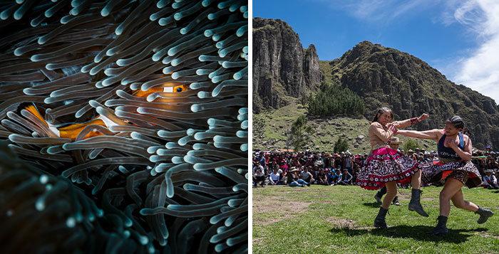 37 Awarded Images From The 2024 Tokyo International Foto Awards