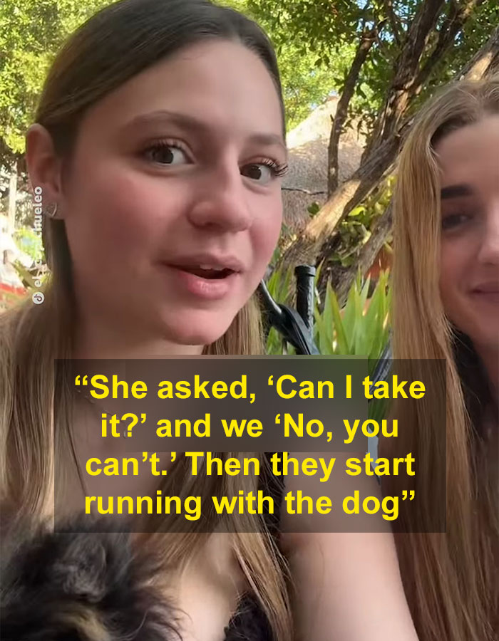Pet Owner Accuses Tourists Of Snatching Her Adorable Puppy Before Trying To Flee Pet Owner Accuses Tourists Of Snatching Her Adorable Puppy Before Trying To Flee