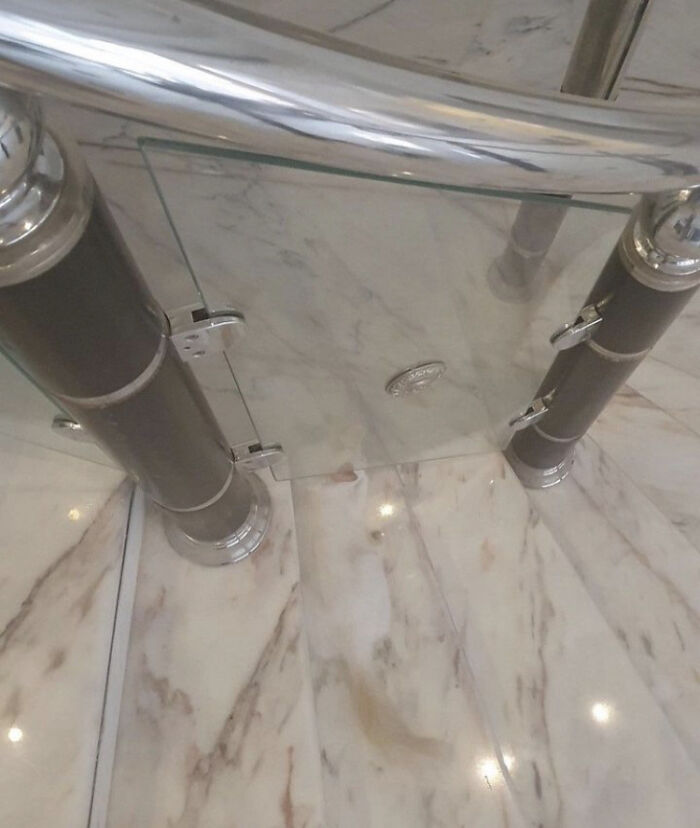 I Almost Stepped On The Cat