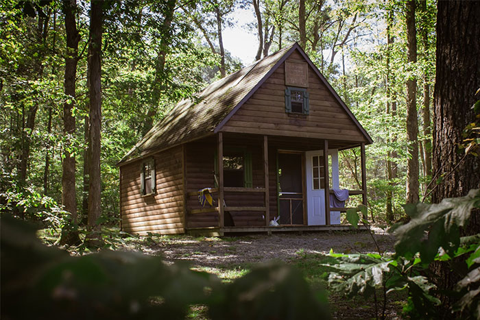 Wooden cabin in a forest clearing, evoking mysterious urban legends that are surprisingly true.