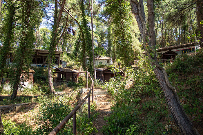 Forest pathway leading to mysterious, abandoned cabins, reminiscent of urban legends.