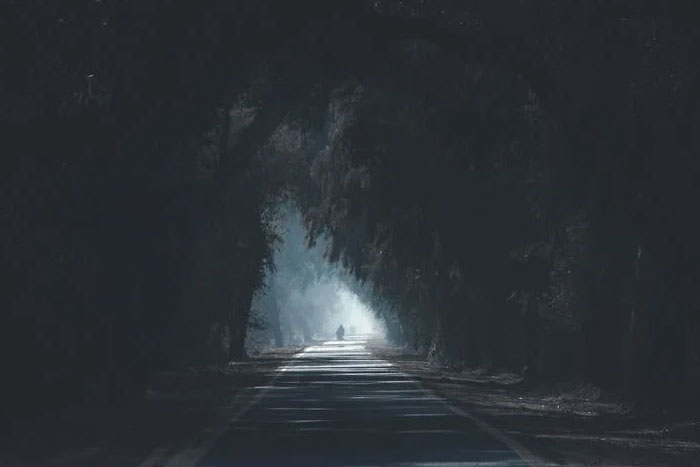 Misty forest tunnel with a lone figure walking, evoking eerie urban legends.