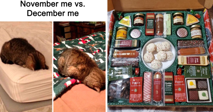 Mix It Up: 15 Variety Packs For People Who Like Everything (Or Nothing)