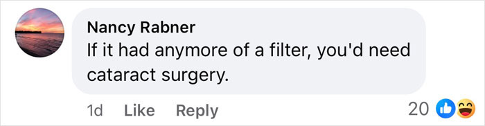 Commentary on portrait, suggesting heavy filters, referencing freelance magician style criticism.