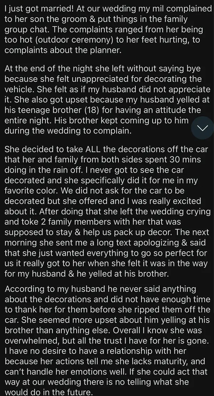 Text message describing issues with terrible wedding guests.