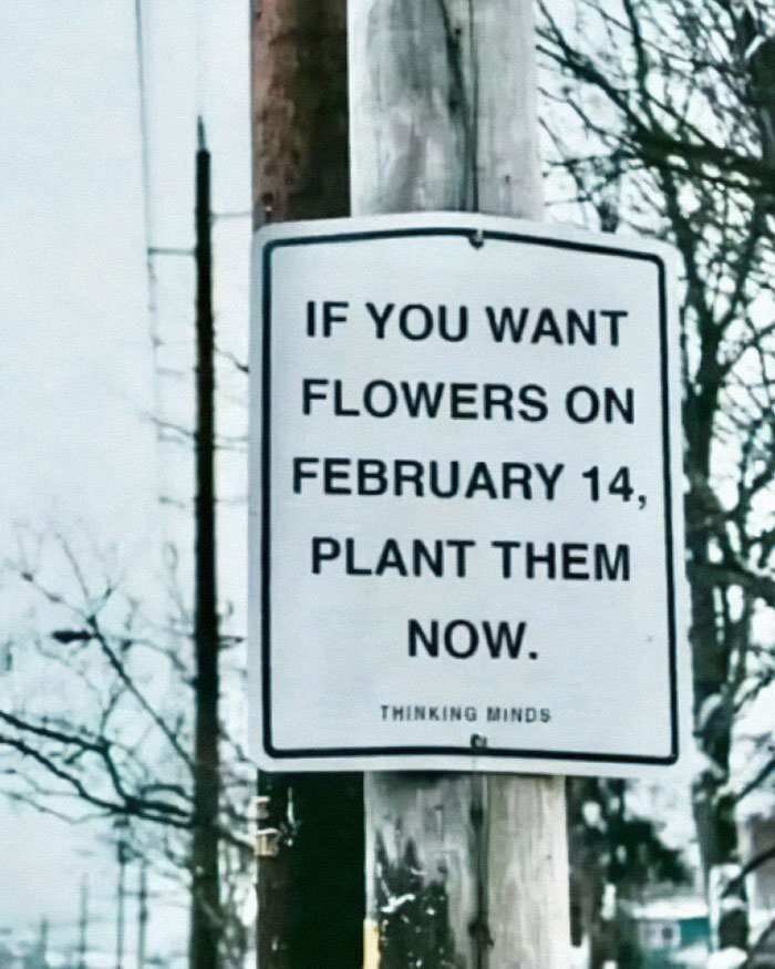 Sign on a pole with the humorous message about planting flowers early for February 14.