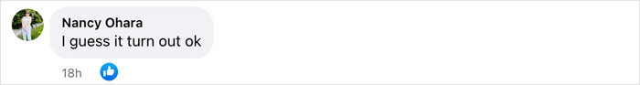 Screenshot of a comment by Nancy Ohara saying, "I guess it turn out ok," with a like button below. Screenshot of a comment by Nancy Ohara saying, "I guess it turn out ok," with a like button below.