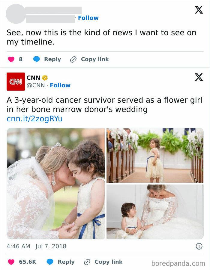 Wholesome-Meet-The-Internet-Best-All-Time