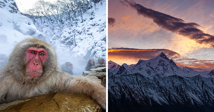 This Photographer’s Stunning Aerial And Wildlife Shots Might Make You See The World Differently (53 Pics)