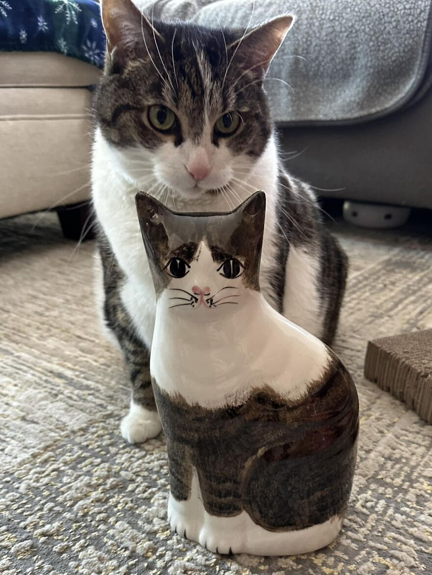 Best $2.99 I’ve Spent At Goodwill, Maybe Ever. Did I Need A Ceramic Cat? Well, This One I Actually Did, For Obvious Reasons