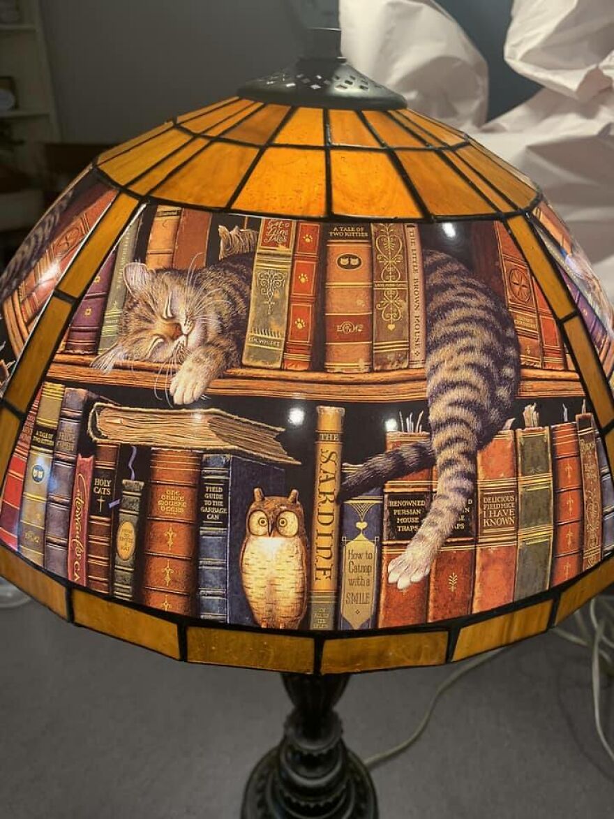 Got This Great Lamp For My Reading Room At The Second Hand Store Grove Depot In Locust Grove Ga